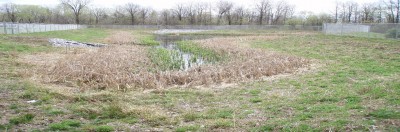 stormwaterbackground