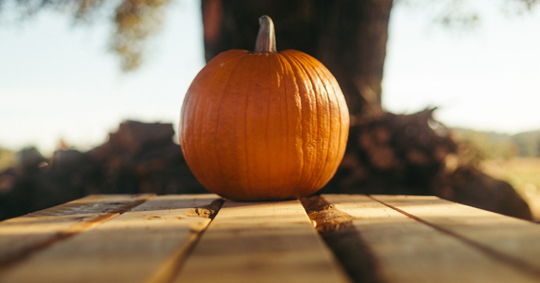 https://old.queensbury.net/picking-a-perfect-pumpkin/