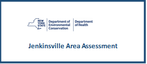 https://old.queensbury.net/jenkinsville-area-assessment/